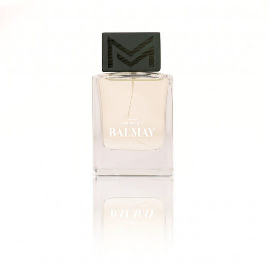 Sophistique